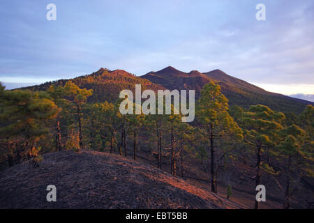 Martin-Vulkan bei Sonnenaufgang, Ruta de Los Volcanes, Kanarische Inseln, La Palma Stockfoto