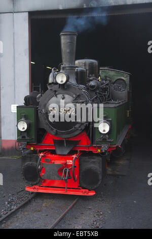 Dampflok der Harzer Schmalspurbahnen, Wernigerode, Sachsen-Anhalt, Deutschland Stockfoto