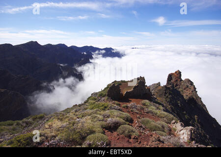 Caldera de Taburiente Morgen Licht, Kanarische Inseln, La Palma, Mirador Los Andenes Stockfoto