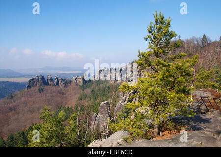 Schrammsteine Deutschland, Sachsen, Sächsische Schweiz, Nationalpark Sächsische Schweiz Stockfoto