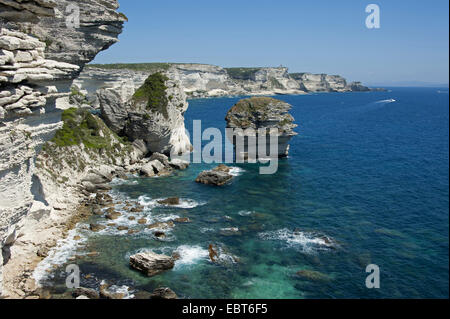 Kreidefelsen von Bonifacio, Frankreich, Korsika, Bonifacio Stockfoto