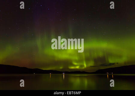 Polarlicht vor Sternbild Ursa Major, Norwegen, Namsos Stockfoto