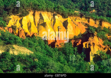 ockerfarbene Sandstein des Roussillon, Frankreich, Provence, Vaucluse, Roussillon Stockfoto