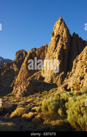 La Catedral, Roques de Garcia am Teide Vulkan am Abend Licht, Kanaren, Teneriffa, Teide-Nationalpark Stockfoto