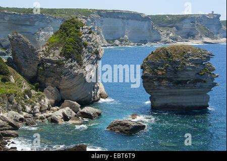 Kreidefelsen von Bonifacio, Frankreich, Korsika, Bonifacio Stockfoto