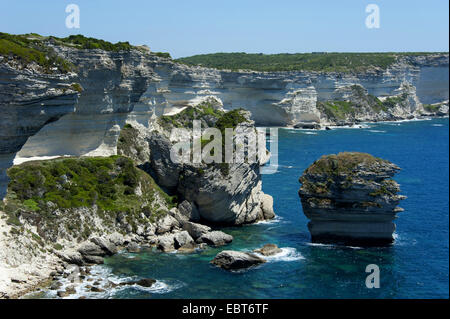 Kreidefelsen von Bonifacio, Frankreich, Korsika, Bonifacio Stockfoto