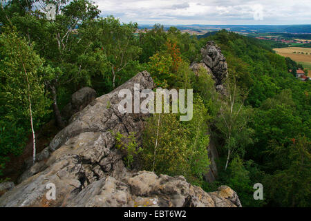 Teufelsmauer, Teufelsmauer, Felsformation, Blankenburg, Harz, Sachsen-Anhalt, Deutschland Stockfoto