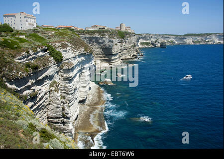 Kreidefelsen von Bonifacio, Frankreich, Korsika, Bonifacio Stockfoto