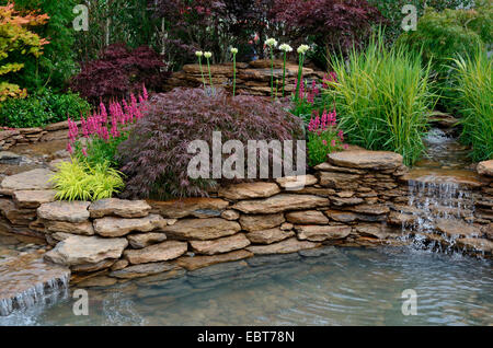 Der Teich-Gebiet in einem reflektierenden Wasser Garten mit bepflanzten Steingarten und Wasserfälle Stockfoto