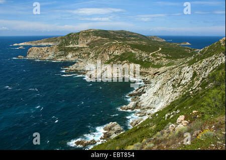 felsige Küste Landschaft, Frankreich, Korsika, Pointe De La Revellata, Calvi Stockfoto