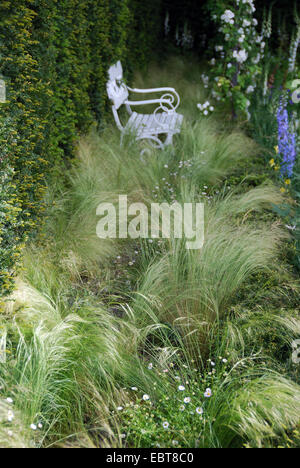 Krautige Grenze, The Daily Telegraph zeigen Garden, RHS Chelsea Flower Show 2007, London, UK Stockfoto