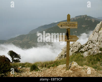 hölzerne Wegweiser bei Trekking-Pfad auf dem Puig de Galatzo, Spanien, Balearen, Mallorca Stockfoto