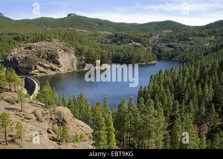 Blick vom Berghang an einem Stausee, Kanarische Inseln, Gran Canaria, Presa de Los Hornas Stockfoto