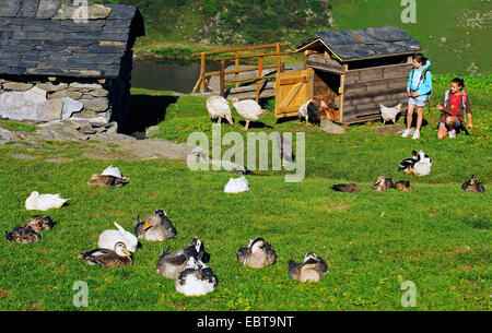 Zwei Mädchen im Teenager-Alter besuchen einen Bauernhof in den Alpen, Frankreich, Les MÚnuires Stockfoto