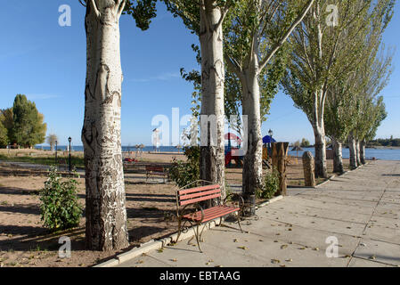 Strand des Hotel Royal Beach in der Nähe von Chopan Ata am Issyk-Kul-See, Kirgistan, Asien Stockfoto