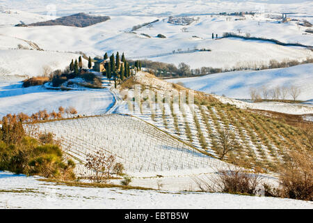 Podere Belvedere im Schnee bedeckt Landschaft, Italien, Toskana, San Quirico Stockfoto