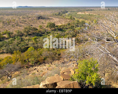 Verlauf eines Flusses in Savanne, Südafrika, Tshanga Lookout, Krüger Nationalpark, Letaba Camp Stockfoto