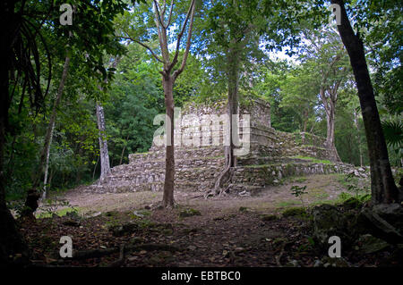 Ruinen in Muyil, Mexiko, Yucatan, Muyil Stockfoto