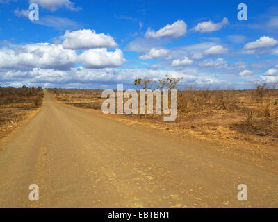 Schotterstraße in Savanne, Südafrika, Hluhluwe-Umfolozi Nationalpark, Mpila Camp Stockfoto