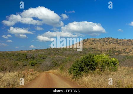 Pfad in Savanne, Südafrika, Hluhluwe-Umfolozi Nationalpark, Mpila Camp Stockfoto