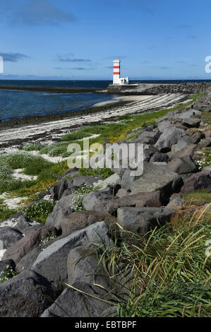 Alter Leuchtturm aus dem Jahre 1897 an der Küste, Island, Halbinsel Reykjanes, Gardur Stockfoto