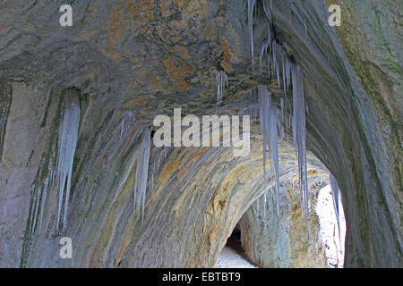 Icycles an der Decke der Kalksteinhöhle genannt "Grosse Scheuer", Schwäbische Alb, Baden-Württemberg, Deutschland Stockfoto