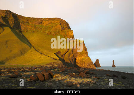 Bay im Abendlicht mit Sandstrand und Felsen und eine bizarre Felstürme, Island, Reynisfjara, Vik ich Myrdal Stockfoto