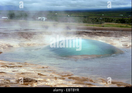 der Geysir "Strokkur" im Bereich Geothermie im Tal Haukadalur, Island Stockfoto