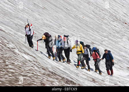 Wanderer über Schneefeld auf Mount Rainier, USA, Washington, Mount Rainier Nationalpark Stockfoto