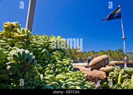 Bananen auf Aboat, Andaman Inseln, Indien, Indien Stockfoto