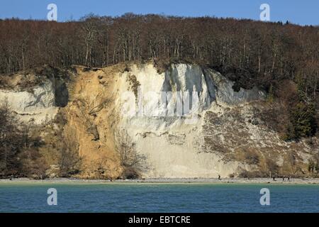 Blick vom Meer auf der Steilküste mit den berühmten Kreidefelsen, ein Ort der frische Erosion und einigen Spaziergängern am schmalen Strand unten, Deutschland, Mecklenburg-Vorpommern, Nationalpark Jasmund, Rügen Stockfoto