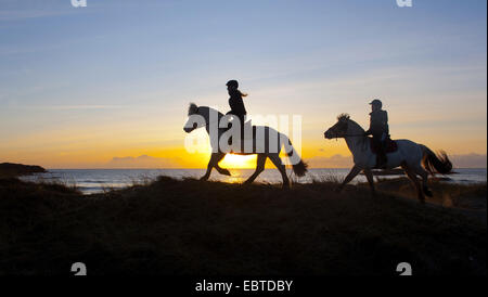 inländische Pferd (Equus Przewalskii F. Caballus), Silhouetten von zwei Fahrern an der Havikstrand in Lista vor dem Sonnenuntergang Norwegen, Vest-Agder, Farsund Stockfoto