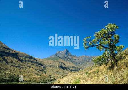 Drakensberge, South Africa, Kwazulu-Natal Stockfoto