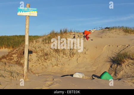 Müll am Strand in der Natur geschlossen reservieren De Slufter, Niederlande, Texel Stockfoto