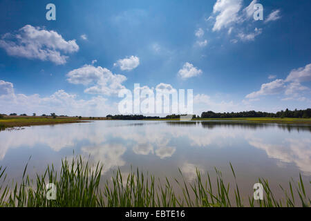 Plothener Teiche, Wolken spiegeln in einem See im Sommer, Deutschland, Thüringen Stockfoto