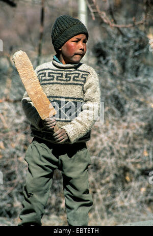 Ladakh-Tibet junge steht Wollmütze Jumper halten Cricket Bat Sonnenschein Stockfoto