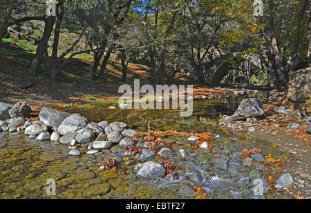 Ein Blick auf die Kelefos-Brücke im Herbst mit einem Damm aus Steinen in den kleinen Fluss Stockfoto