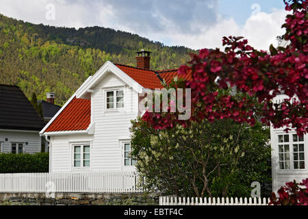 weiße Holzhaus, Norwegen, Lustrafjord, Solvorn Stockfoto