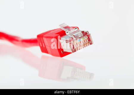 roten Computer Netzwerk Stecker Stockfoto