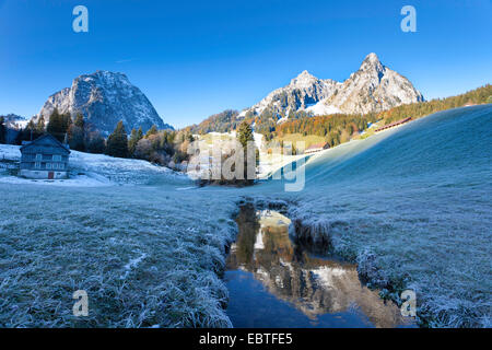 Raureif in einer Bergwiese, Mythen Bergen im Hintergrund, der Schweiz, Kanton Schwyz, Mythen Stockfoto