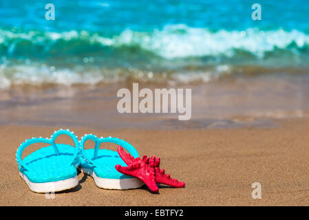 wunderschöne Schiefer und roten Seestern am Meer Stockfoto