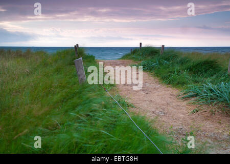 Blick auf das Meer entlang einen Dünenpfad, Deutschland, Mecklenburg-Vorpommern, Wustrow Stockfoto