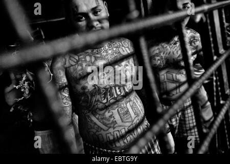 Die Mara Salvatrucha Gruppemitglieder sind hinter den Gittern von Zellen in einem Auffanglager in San Salvador, El Salvador, 20. Februar 2014 gesehen. Stockfoto