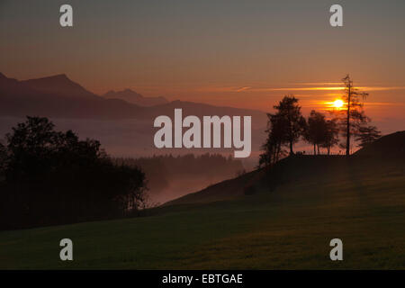 Blick vom Ibergeregg nach Sonnenuntergang, der Schweiz, Kanton Schwyz, Rothenflue Stockfoto