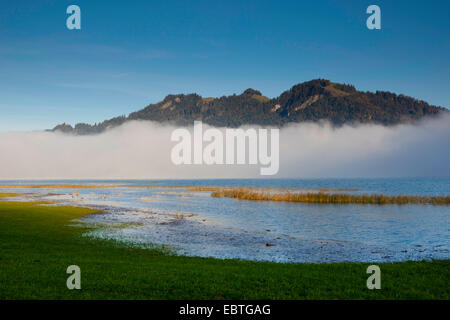 Nebelbank über See Ägerisee, Schweiz, Kanton Zug, Ägerisee Stockfoto