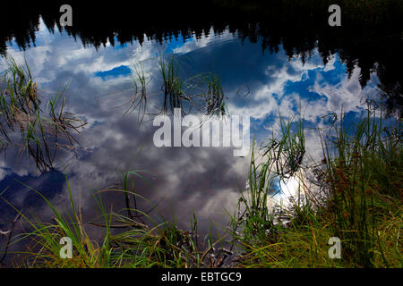 Wolken, die Spiegelung im Stausee Poehl, Deutschland, Sachsen, Vogtland, Jocketa Stockfoto