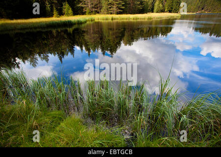 Wolken, die Spiegelung im Stausee Poehl, Deutschland, Sachsen, Vogtland, Jocketa Stockfoto