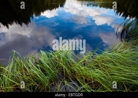 Wolken, die Spiegelung im Stausee Poehl, Deutschland, Sachsen, Vogtland, Jocketa Stockfoto