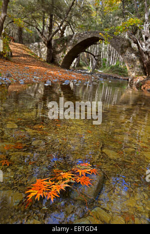 Ein Blick auf die Kelefos-Brücke im Herbst mit bunten Laub in den kleinen Fluss Stockfoto