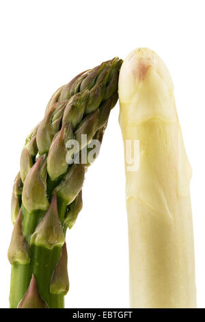 Garten Sie-Spatz Gras, Wildspargel (Spargel Officinalis), Spargel, grünem und weißem Spargel Stockfoto